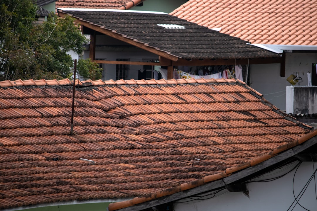 Storm-damaged residential roof with wind-lifted shingles after a Tennessee thunderstorm